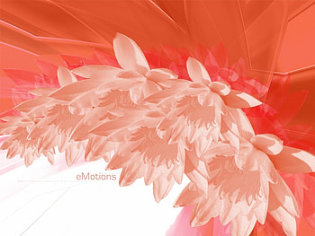 Red emotions, abstract, red HD wallpaper