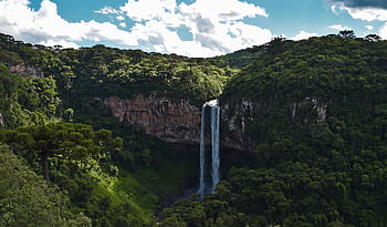 Explore the stunning waterfall amidst lush greenery in Gramado, Brazil. HD wallpaper