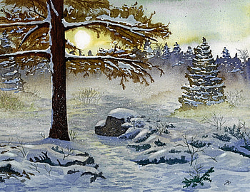Winter is here, cold, winter, trees, snow HD wallpaper