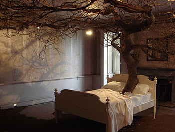 Dream of a winter night, night, winter, room, bad, tree, 3d, abstract, light, dream HD wallpaper