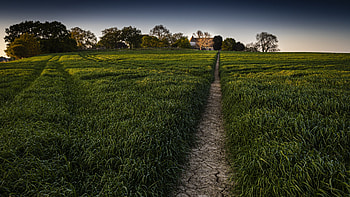 Farm field, landscape, green, rough road HD wallpaper