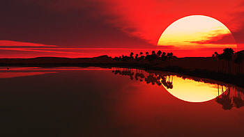 Beautiful Sunset, red sky, palm trees, lake, sunset HD wallpaper
