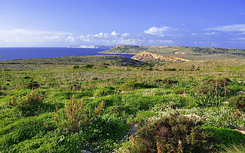 Nature, Grass, Sea, Summer, Shore, Bank HD wallpaper