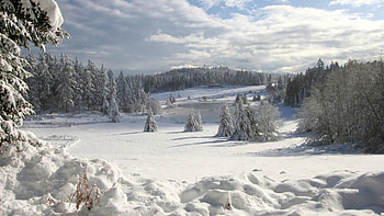 Winter, Nature, Sky, Clouds, Snow, Forest, Field, Loose, Drifts, Ate, Cover, Friable, Robe, Garb HD wallpaper
