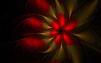 Poinsetta, abstract, christmas, flower HD wallpaper