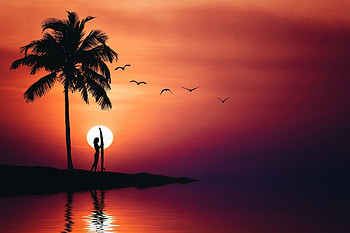 Sunset Surfin', birds, palm, colors, sky, romantic, sun, woman HD wallpaper