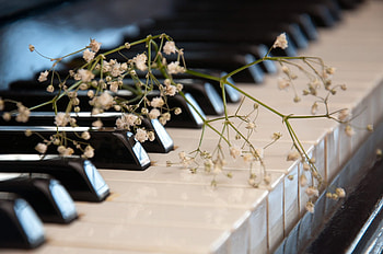 piano, music, keys, flowers HD wallpaper