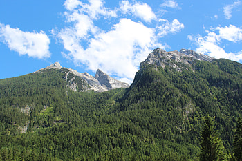 Nature, Trees, Mountains, Germany, Hintersee, Hinterese, Berchtesgaden HD wallpaper