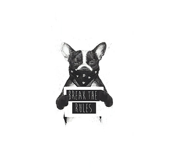 Artwork, bulldog, Rebel dog, bw HD wallpaper