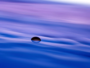 Macro, Ripples, Ripple, Liquid, Surface, Drop HD wallpaper