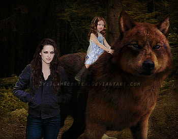 LOVE WILL BE THE ECHO, twilight sagas, entertainment, movies, jacob, renesme, breaking dawn, wolf, bella HD wallpaper