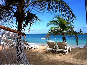 Perfect Day on Beach, palms, day, chears, perfect, ocean, beach HD wallpaper