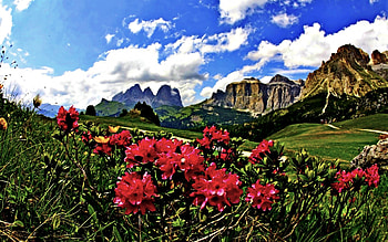 SPRING MOUNTAIN, nature, flowers, spring, mountain HD wallpaper