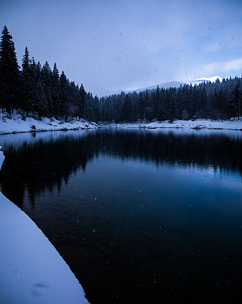 Winter, Nature, Trees, Snow, Lake, Shore, Bank HD phone wallpaper