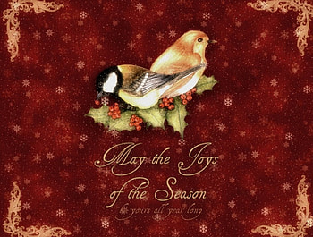 Merry Christmas!, winter, bird, mistletoe, snow, christmas, green, joy HD wallpaper