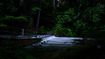 River, Cascade, Trees, Dark, Background, Stream, Forest, Nature Nature HD wallpaper