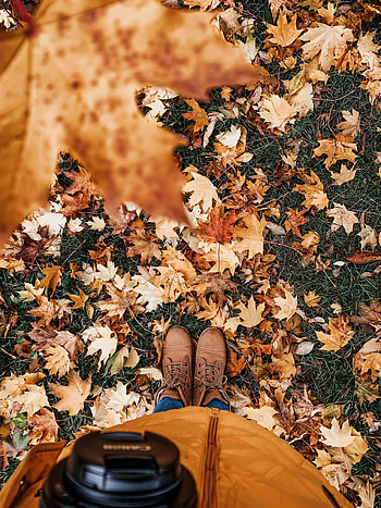 Autumn, Leaves, Miscellanea, Miscellaneous, Legs, Boots, Shoes HD phone wallpaper