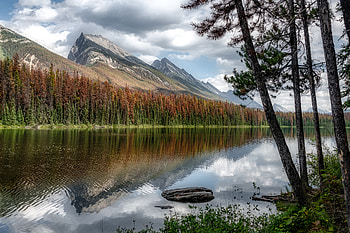 Landscape, Nature, Rivers, Mountains, Shore, Bank, Forest HD wallpaper