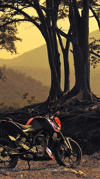 Ktm Duke 200, Trees Background HD phone wallpaper