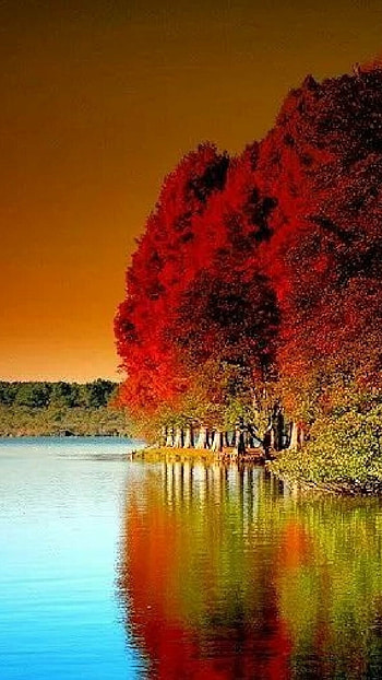 Beautiful For, River HD phone wallpaper