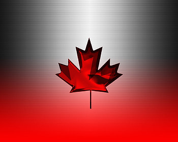 Canadain Maple Leaf, leaf, maple, canadain HD wallpaper