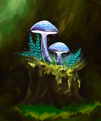 Art, Mashrooms, Branches, Particles HD phone wallpaper