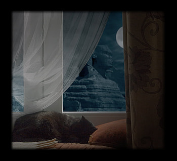 Reincarnation ???, art , window, moon, sleepig, cat, nice HD wallpaper