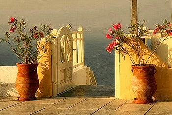 Path to the Beach, Flowers, Beach, Pot, Path HD wallpaper