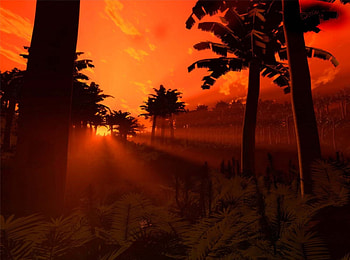 sunset, sun set, red sky, sun, setting HD wallpaper