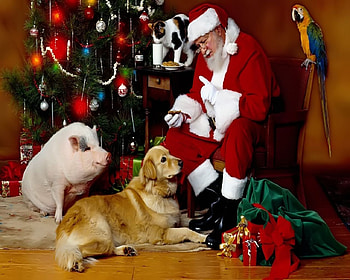 Christmas, Holiday, Santa HD wallpaper
