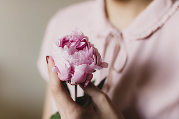 Flowers, Flower, Hand, Tenderness, Pion, Peony HD wallpaper
