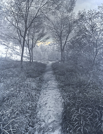 Winter, Art, Forest, Frost, Hoarfrost, Creek, Brook HD phone wallpaper