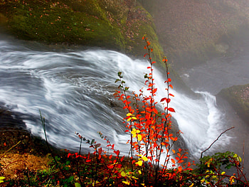 Waterfall In Autum, colorful, color, flower, waterfall, autum, water HD wallpaper