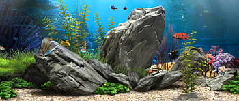3D Fish Aquarium - 21:9 [Live ] - (), Freshwater Aquarium HD wallpaper