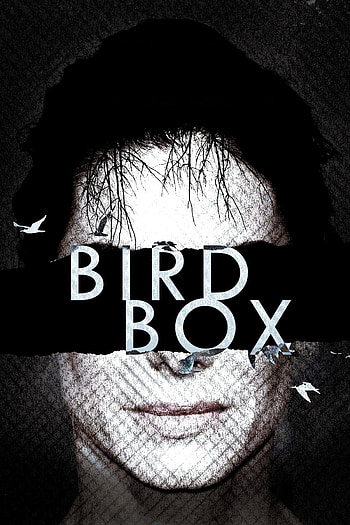 Bird Box, Film posters, Eye-catching design, Promotional material HD phone wallpaper