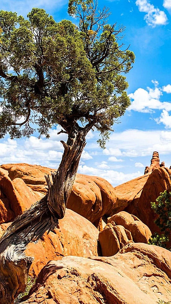 quality, Arches national park theme HD phone wallpaper