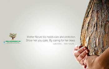 world environment day, environment, outdoors, awareness, world, nature HD wallpaper