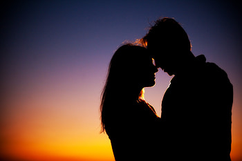 Animals, Night, Love, Couple, Pair, Silhouettes HD wallpaper