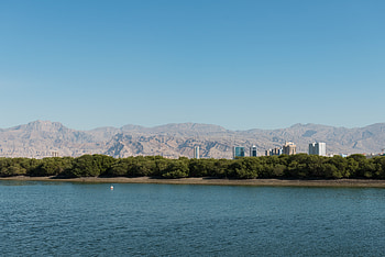 Nature, Water, Trees, Mountains, City, Building HD wallpaper
