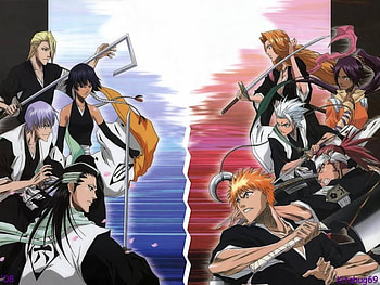 Good Vs Evil, bleach, anime, battle, evil, good HD wallpaper