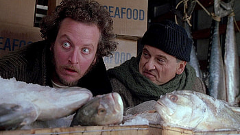Home Alone 2, Iconic film sequel, New York City adventures, Memorable movie scenes HD wallpaper