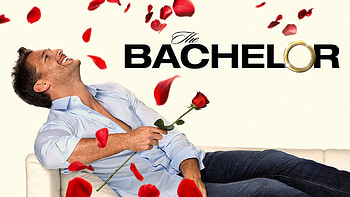 The Bachelor, Love reality series, Drama-filled episodes, Contestant interviews HD wallpaper