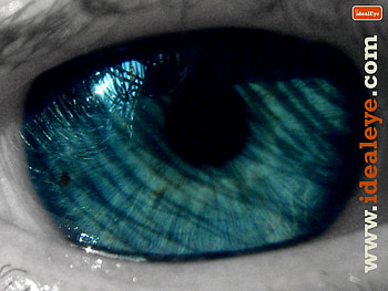 eye HD wallpaper