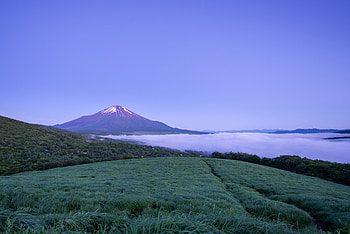 Nature, Mountain, Fog, Japan, Volcano, Fuji, Fujiyama, Honshu HD wallpaper