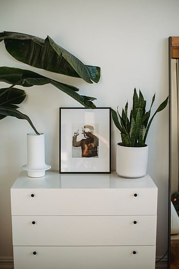 A tidy white dresser with potted plants and framed artwork in a minimalist modern interior. HD phone wallpaper