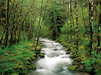River, nature, rivers HD wallpaper