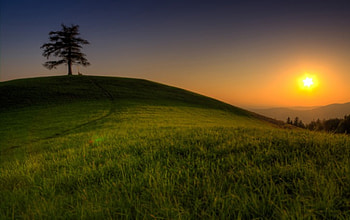 Beautiful View, view, sky, beautiful, nature, mountains, sunset, tree HD wallpaper