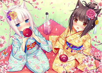 Nekopara, Anime HD wallpaper