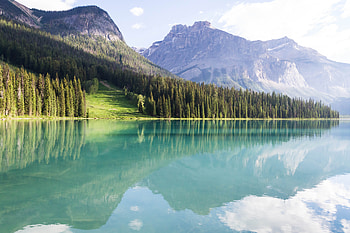 Landscape, Nature, Trees, Mountains, Peyto Lakes, Peito Lakes HD wallpaper