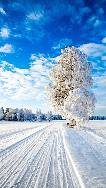 Snow, White Ice, Ice, Background HD phone wallpaper
